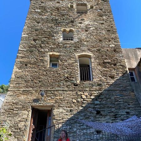 Bed and Breakfast Torra Di Ciocce Pino Екстер'єр фото