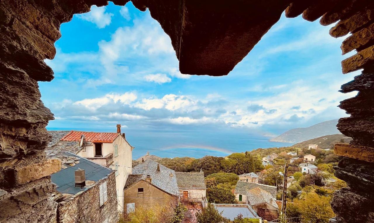 Bed and Breakfast Torra Di Ciocce Pino Екстер'єр фото