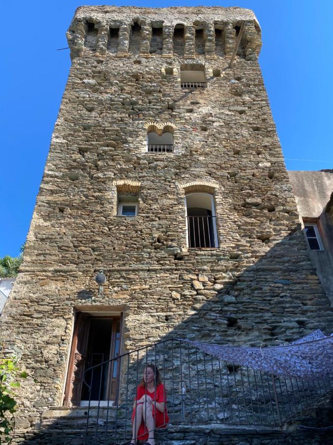 Bed and Breakfast Torra Di Ciocce Pino Екстер'єр фото